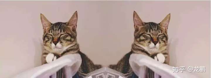 【AI白身境】搞计算机视觉必备的OpenCV入门基础