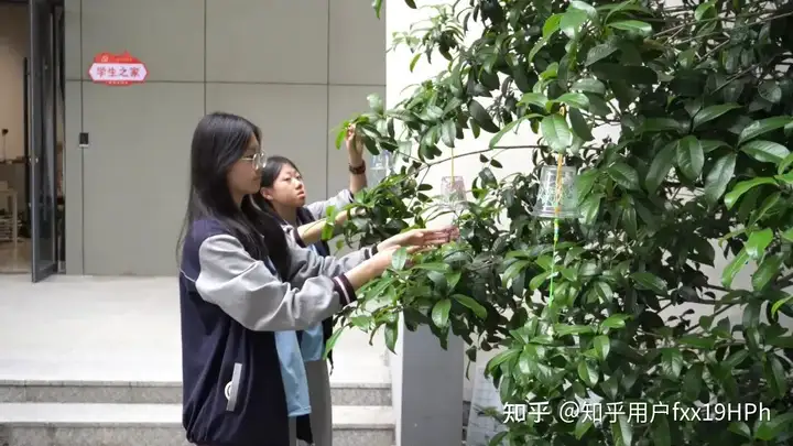 浙江省广播电视中等专业学校塘栖校区组织开展手绘风铃活动(图1)