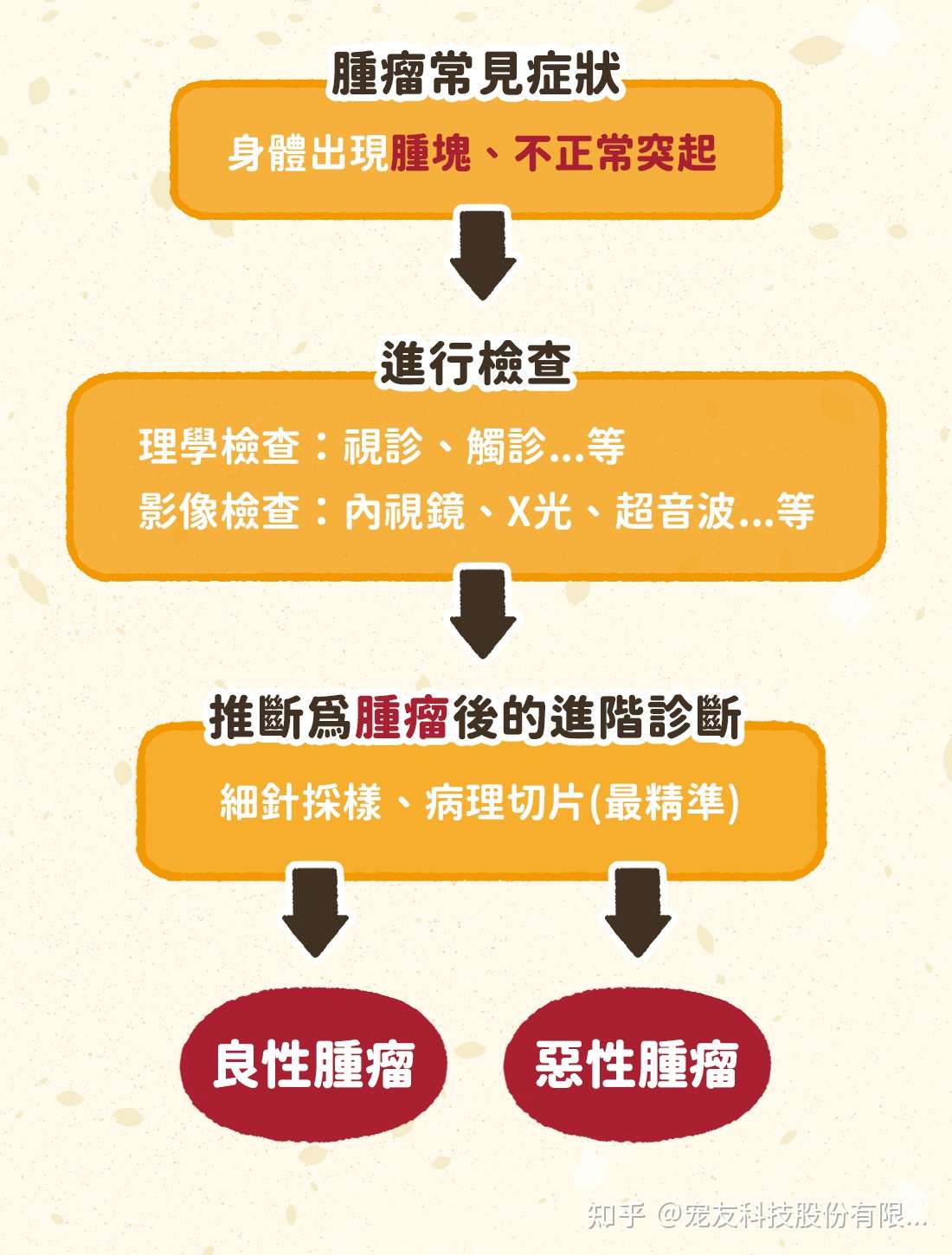 宠友科技 犬猫癌症可以预防吗 关于肿瘤需要知道的事 知乎