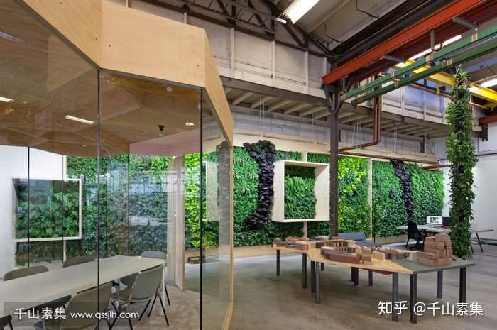 公司办公室植物墙 值得推荐的3个经典案例 知乎