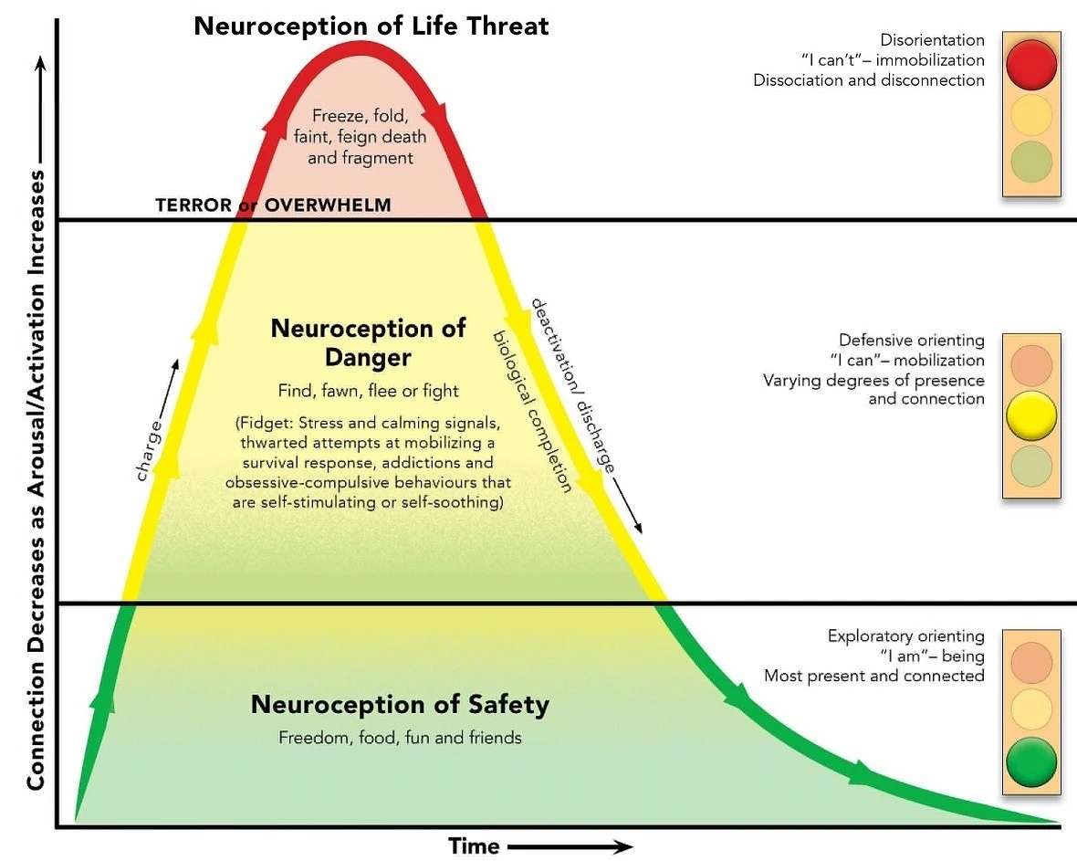 metanight的读书笔记