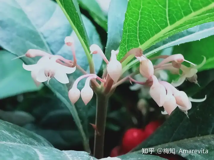 端午节：六月十四日，2021年，365日，一日七话题（6月14号端午节放假）