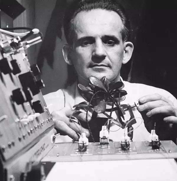 watson 几人归去几人來 2人 赞同了该文章 今天讲讲史上一个比较著名