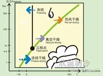 冷冻干燥机测试样品共晶点数据
