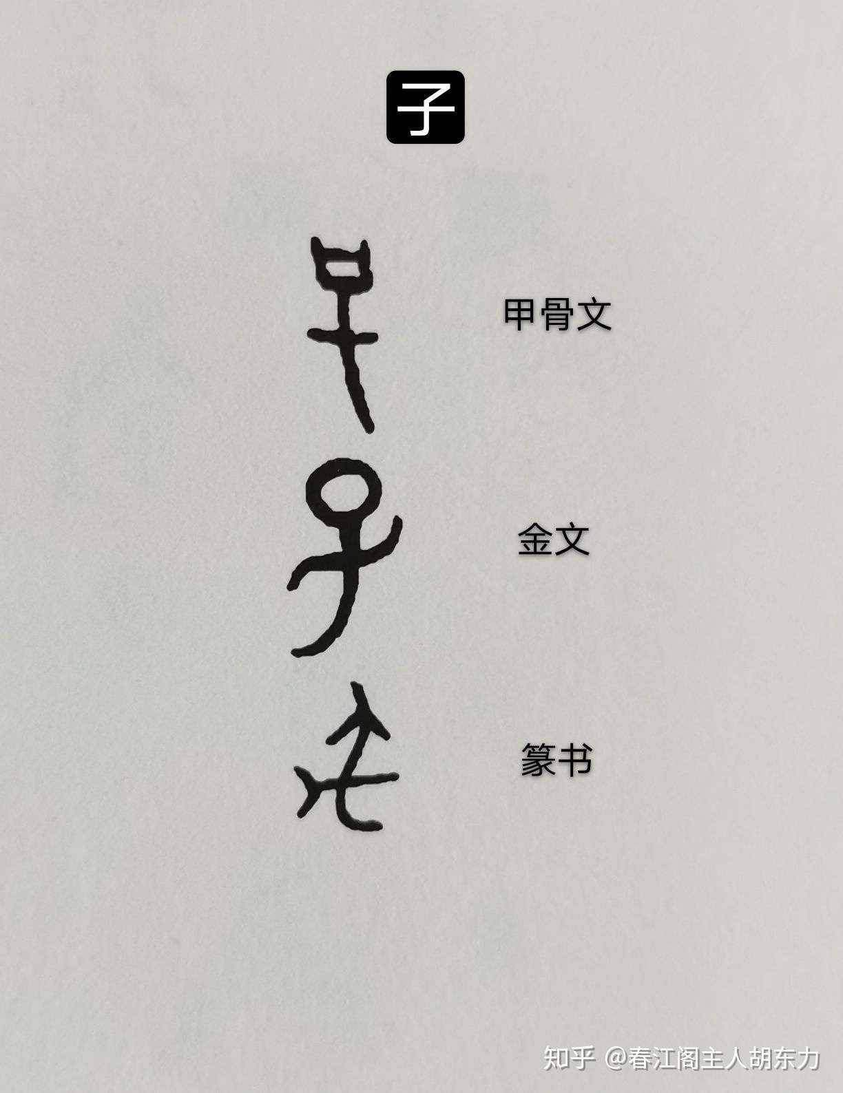 有趣的汉字 子 作者 胡东力 知乎