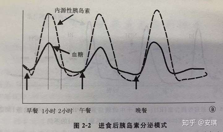 一天血糖波动曲线图图片