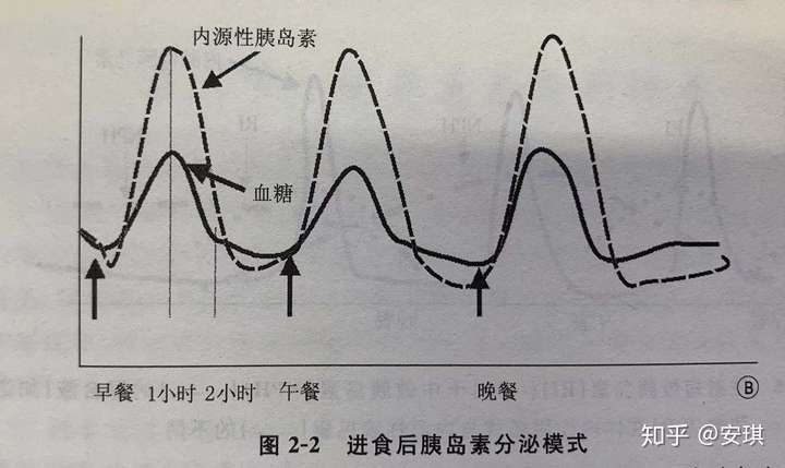 高级营养师 一天我们的血糖随着三餐食物摄入,会发生规律性的波动性