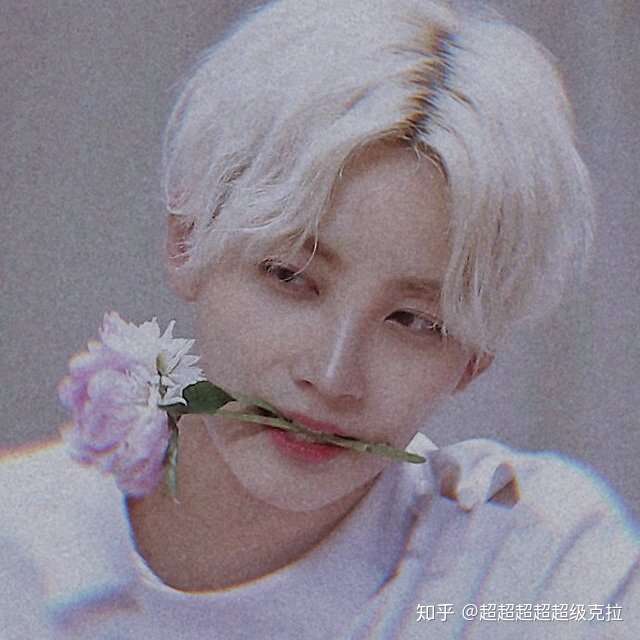 克拉们可以分享seventeen(最好是知汉和灿尼)的神图吗?