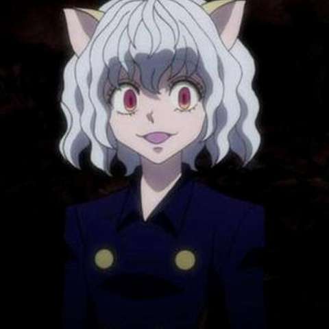 简介 尼飞比特,日本漫画《全职猎人》及其衍生作品中的角色,嵌合蚁