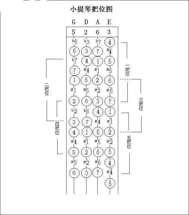 有过一点小提琴基础,几年没动了,五线谱都不认得了,如何恢复?