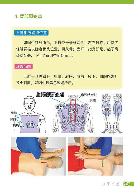 小腿肚子疼痛,是怎么回事啊?急急急急急急急急!