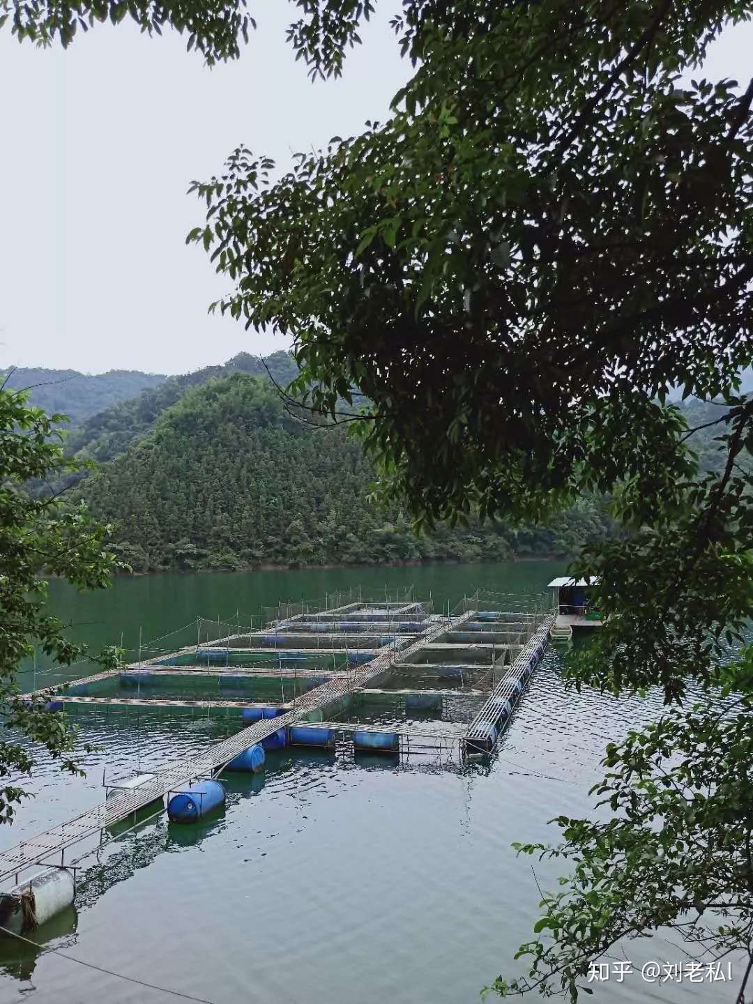 清远民宿随笔第 3 篇 黄腾峡民宿之山上篇 知乎 清远民宿随笔第 3 篇 黄腾峡民宿之山上篇 知乎