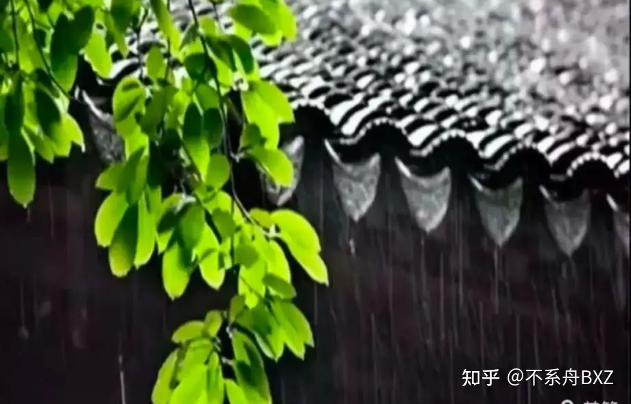 ラッピング不可】 掛け軸【春雨 桜】船川華州 967 共箱 雨中春風景