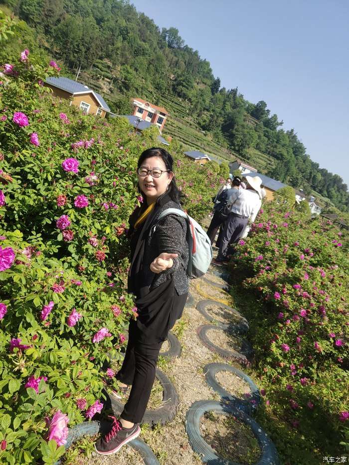 哪吒n01一同前行 春花灿烂 夏花热烈 秋花静美 冬花温情 知乎 哪吒n01一同前行 春花灿烂 夏花热烈 秋花静美 冬花温情 知乎