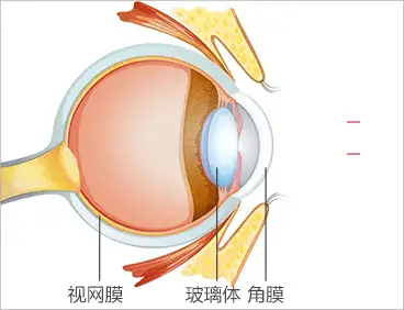368_282gif 动态图 动图