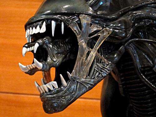 又及,据说南怀瑾大师圆寂后烧出来8000多颗舍利子,据说还有一段是