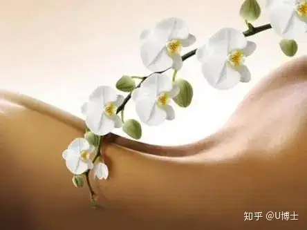 助孕机构广州（助孕助产，远离妇科病，做臀疗的这些好处，你一定要知道！）