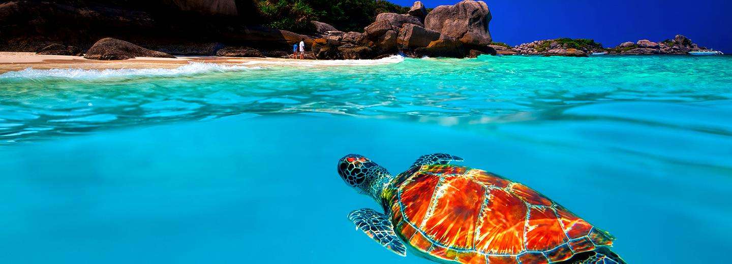 17落地签国家全攻略 它们不是免签国 却也能说走就走 知乎