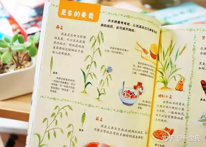 2000多个知识点，11个科普领域……满足孩子对科学的所有好奇心！插图10