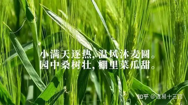 【24节气详解】小满-附养生精要
