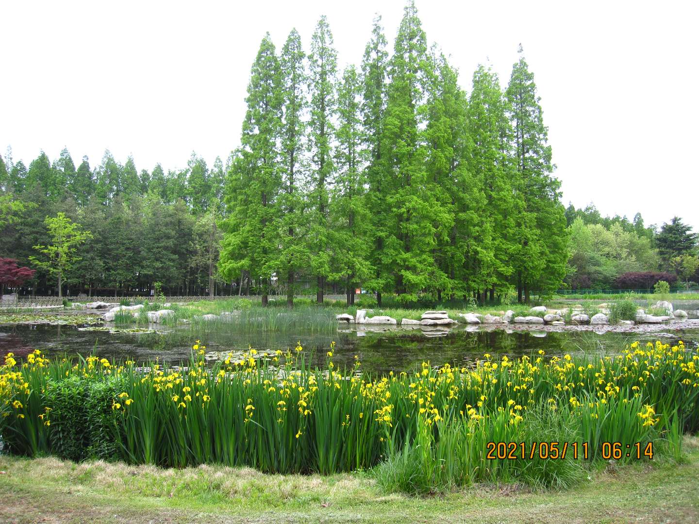 李溯本杂记 21年5月11日 5月16日 知乎