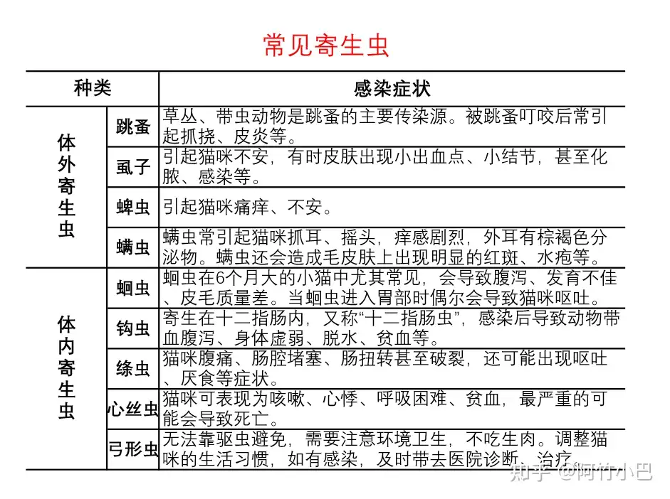 竹宗作、弓形万力新品正規店namaste-restoran.ee