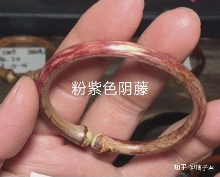 安利鸡血藤 知乎