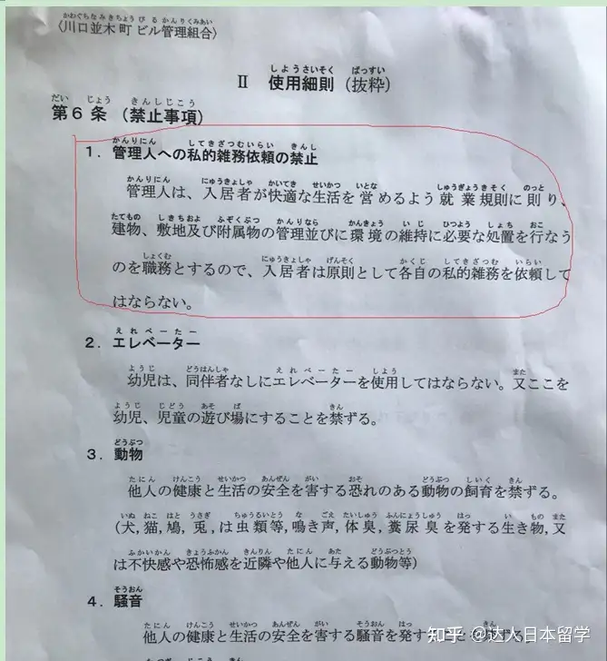 达人日本,日本留学