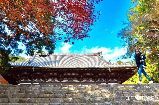 京都高雄古寺通幽 清滝溪谷红叶晚秋 知乎