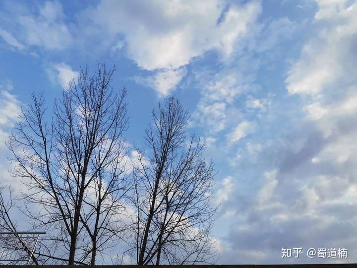 磁力云知乎_磁力云好用吗（磁力云app能干什么）