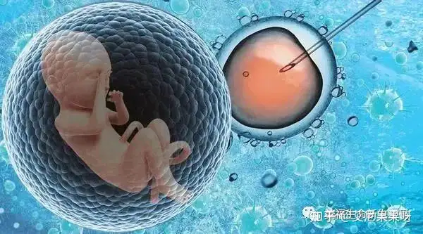 冷冻卵子国内费用多少（试管婴儿哪家最好？教你辨别靠谱试管婴儿医院）