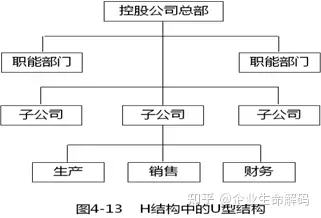 h型组织结构图简单图片