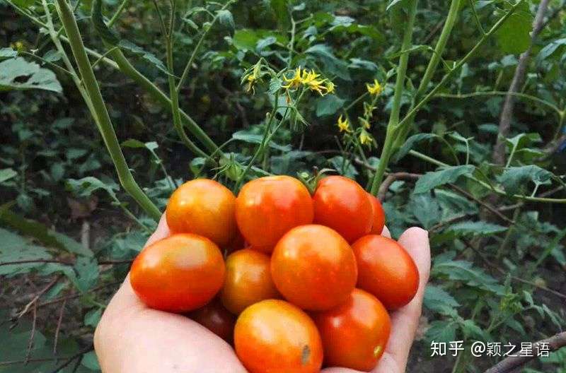 如果农村有家 有土地 别放弃 知乎