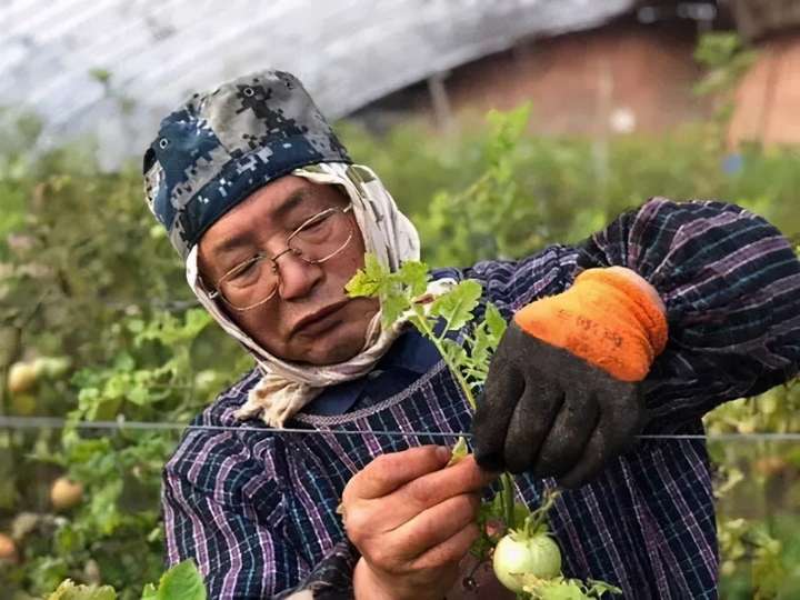 日本农民川崎广人: 循环农业理念正在中国深入人心