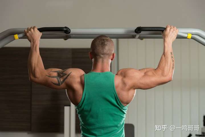 引体向上被称为背部训练黄金动作