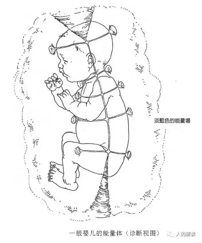 神奇的松果体，奥秘远超想象-人的解读