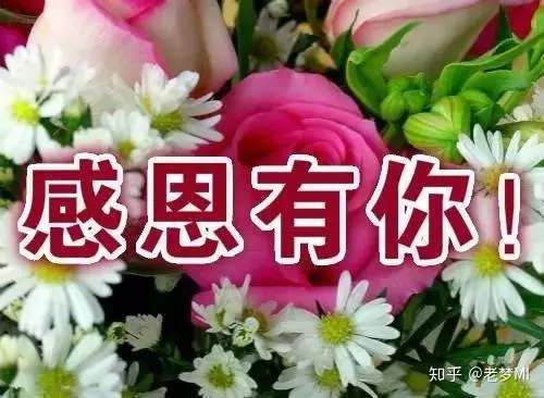 感恩节 感谢美好的相遇 长辈看上部分 小辈看下部分 知乎