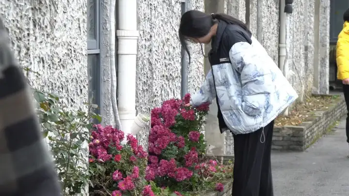 与蛇俱进 不“福”不行|富阳校区开展 “集五福・迎蛇年” 喜迎元旦活动(图5) 与蛇俱进 不“福”不行|富阳校区开展 “集五福・迎蛇年” 喜迎元旦活动(图5)