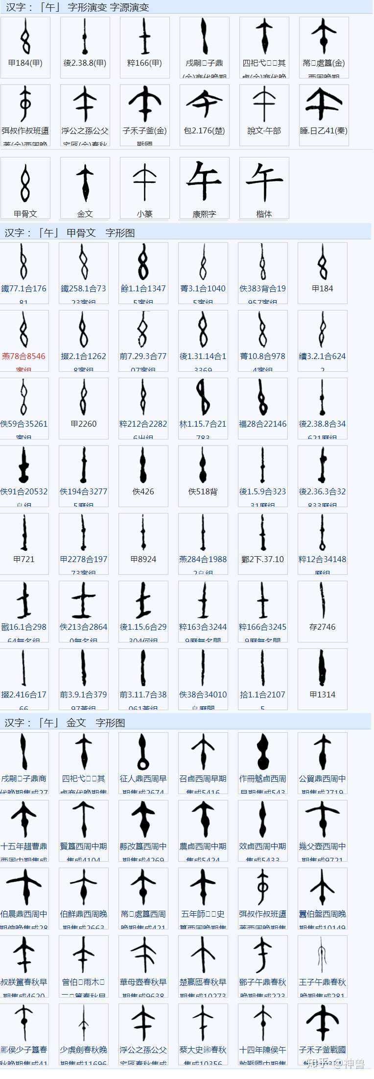 关于 午 字的起源 和天干地支 知乎