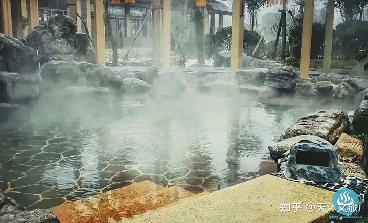银杏金汤-鲁地天沐温泉度假区
