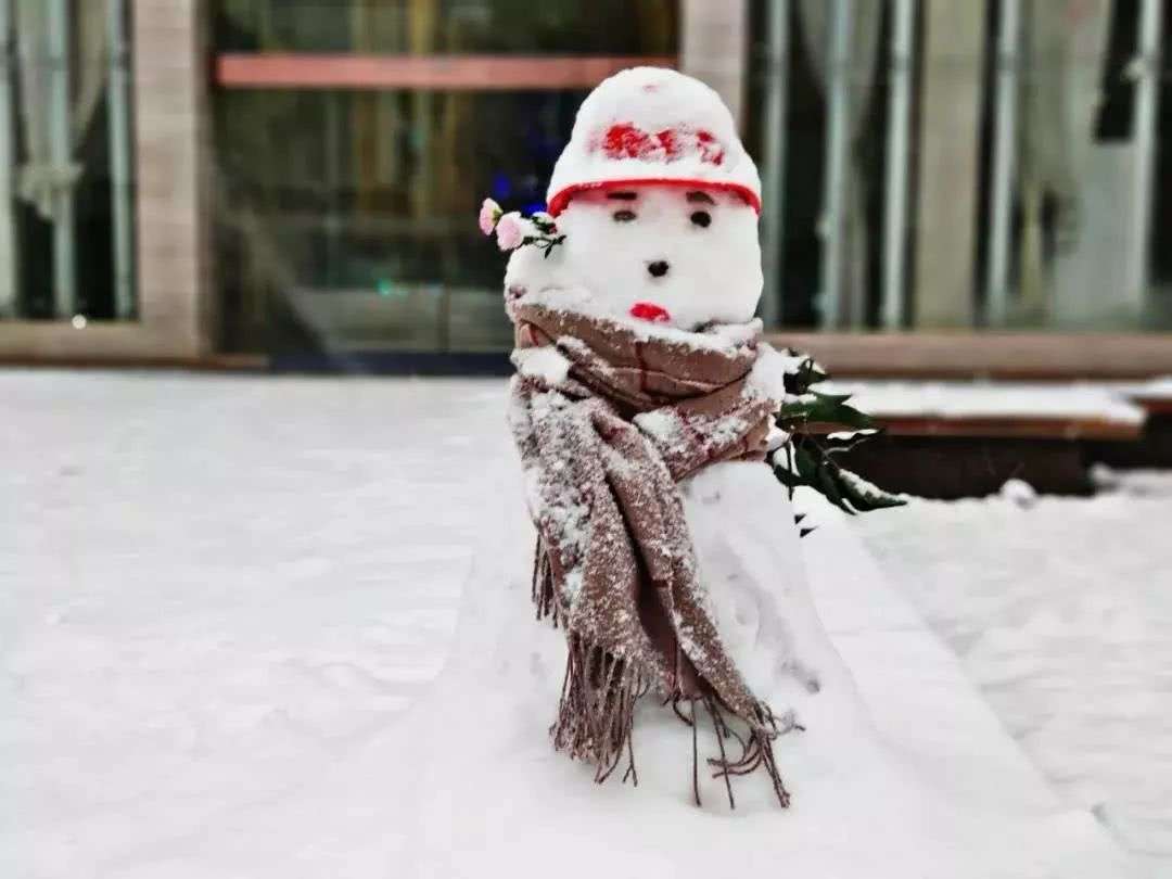 惊艳 18年拉萨初雪 知乎