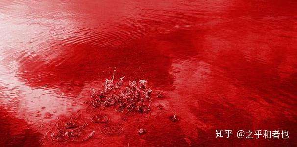 印度血雨连下两个月到底怎么回事