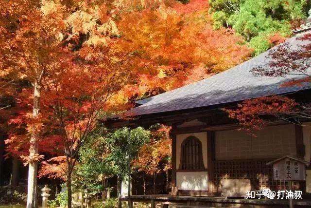 京都高雄古寺通幽 清滝溪谷红叶晚秋 知乎