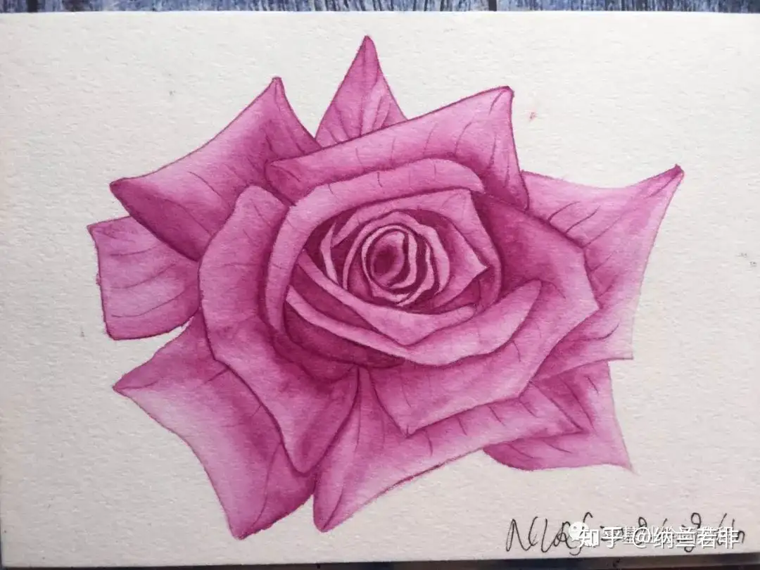 零基础绘画教程－水彩《盛放的紫玫瑰》 - 知乎