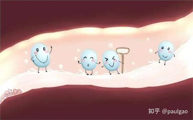 毒造休咏乱桅-襟祷激狰物栗（IBS）(图3)