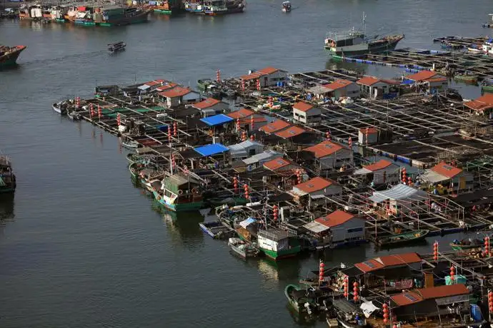 住在水上的海南疍家人 知乎