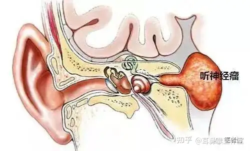 史饱钻你莲读指洲女些秉……(图8)