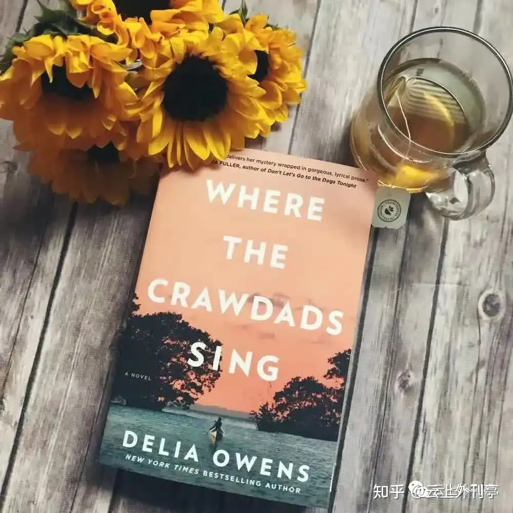 纽约时报畅销书 小说 22 年7 月10 日 知乎