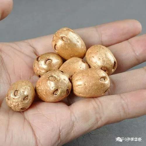 修行禅果五眼六通菩提子