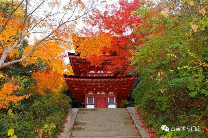 日本旅游 京都に行きませんか 知乎